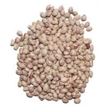 لوبیا چیتی
