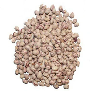 لوبیا چیتی