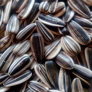 تخمه درجه2یک کیلویی
