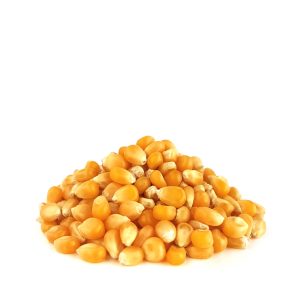 ذرت درجه یک فله یک کیلویی
