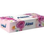 دستمال جعبه ایی الینوس 100برگ دو لا